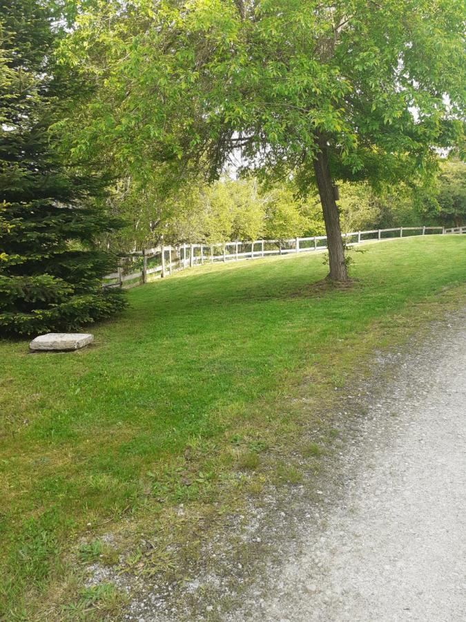 Auverg'Nature Chambre Auvergnate Espinasse Exterior photo